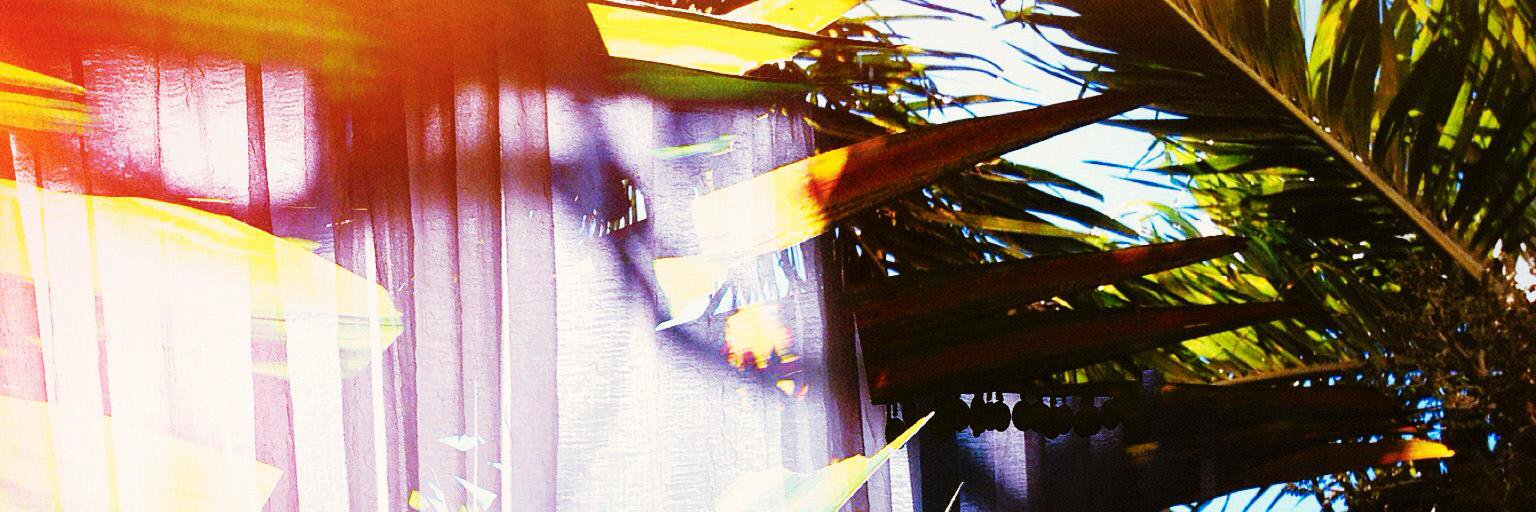 CarolinaHidalgo's profile banner image