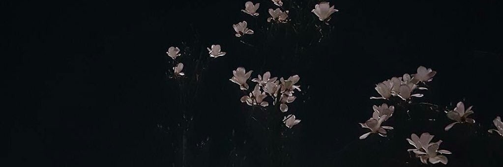 Slightllllly's profile banner image