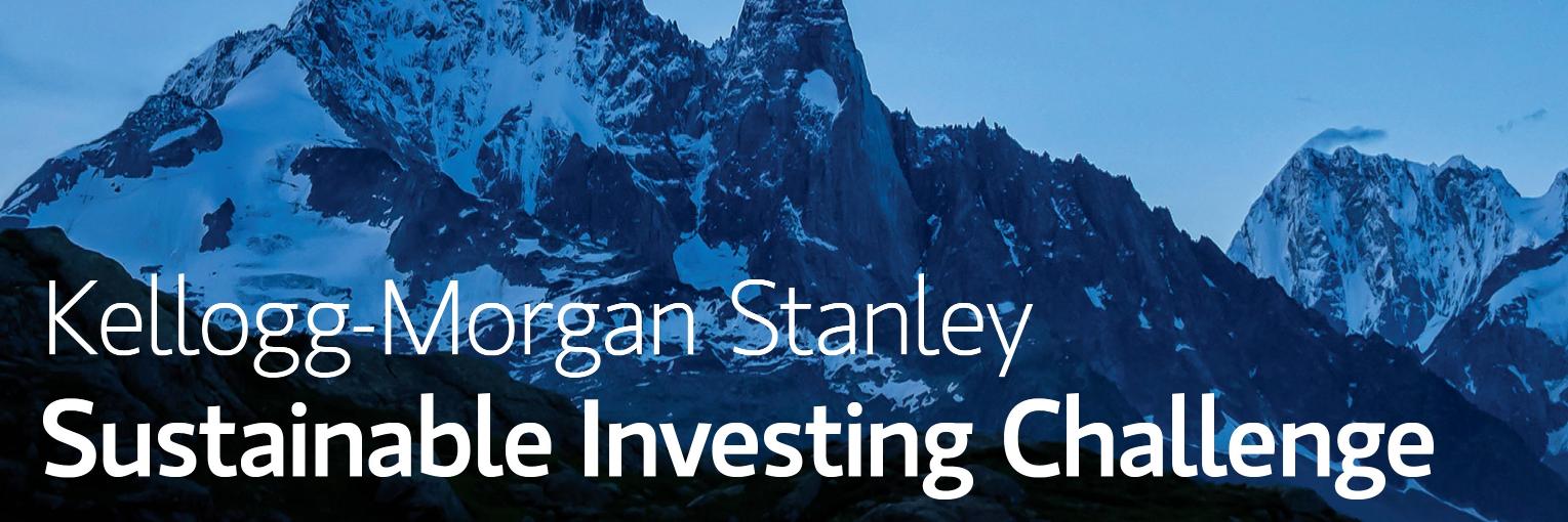 Sustainable Investing Challenge banner