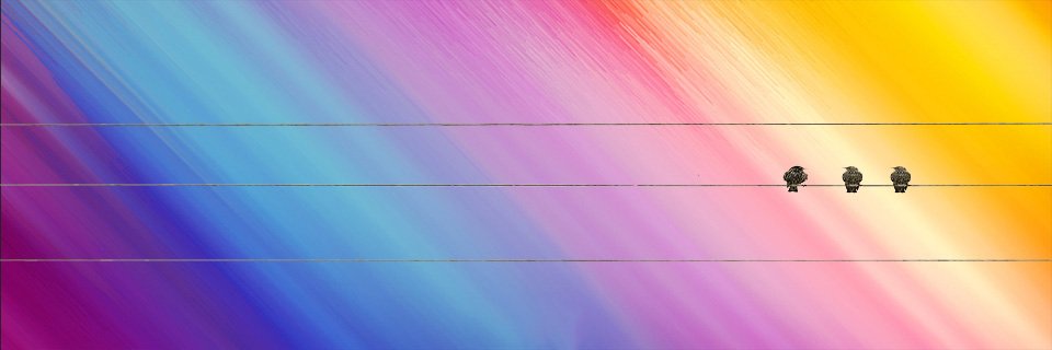 Assus_Maximus's profile banner image