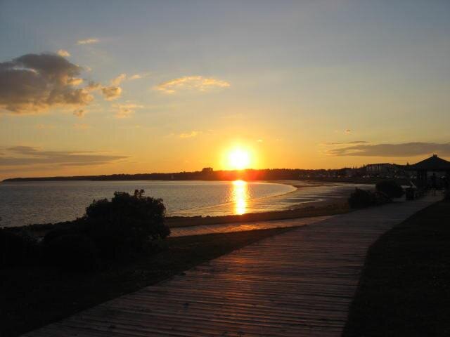 Bazyboy!🇨🇦 banner