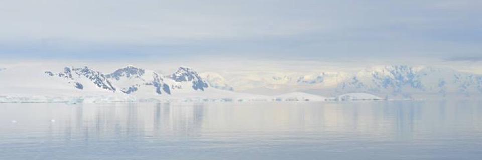 aridurandg's profile banner image