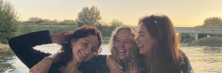 liesbeer de tweeter banner