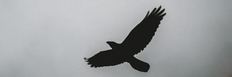 eralddecatoria's profile banner image