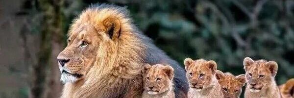 mstfdalyanoglu's profile banner image