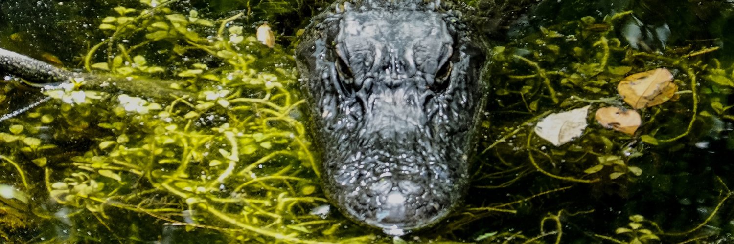 TimothySwoboda's profile banner image
