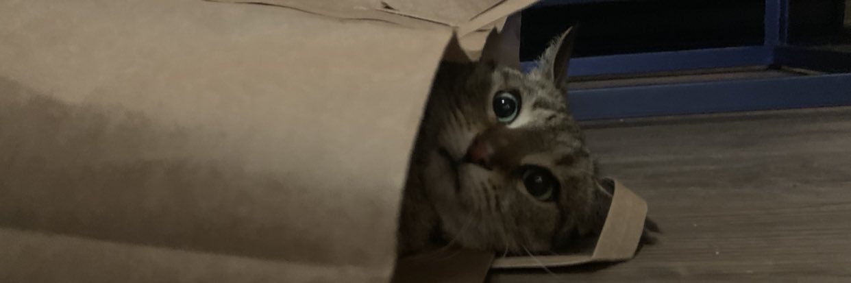 hunterbreann11's profile banner image