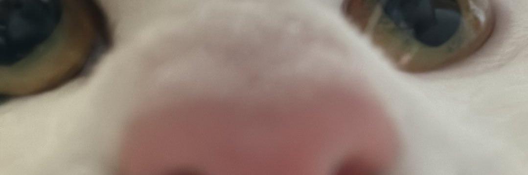 manderleyy's profile banner image