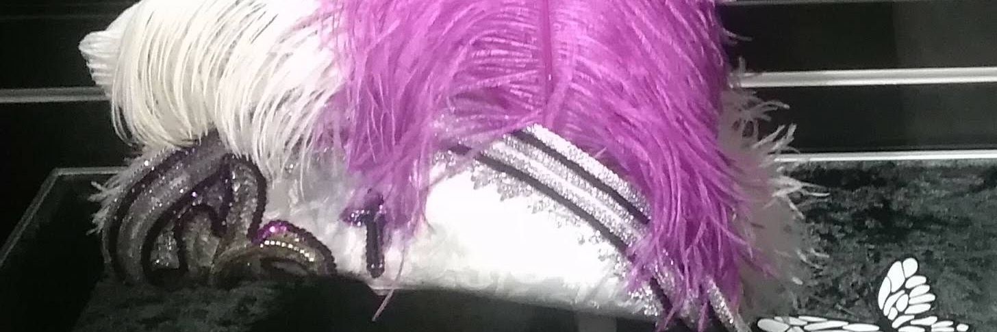 natsukiayato's profile banner image