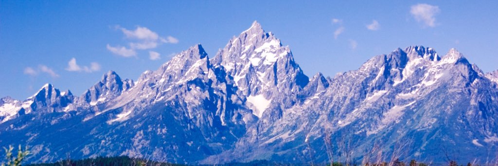 MimiLew's profile banner image