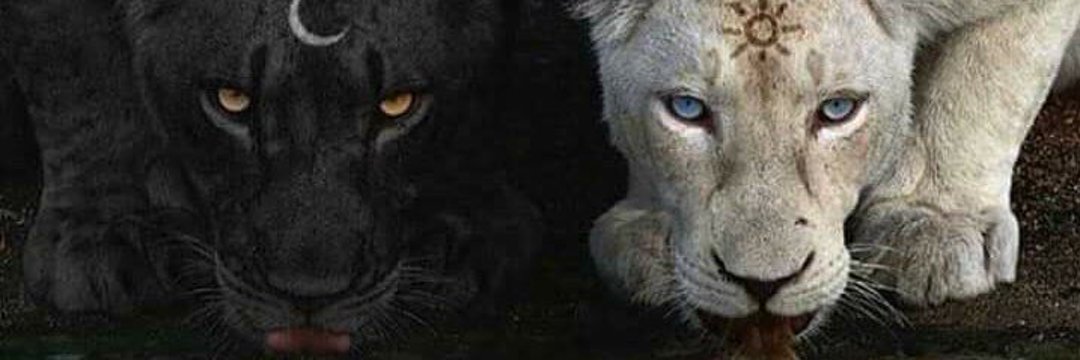 MuchamadNabil's profile banner image
