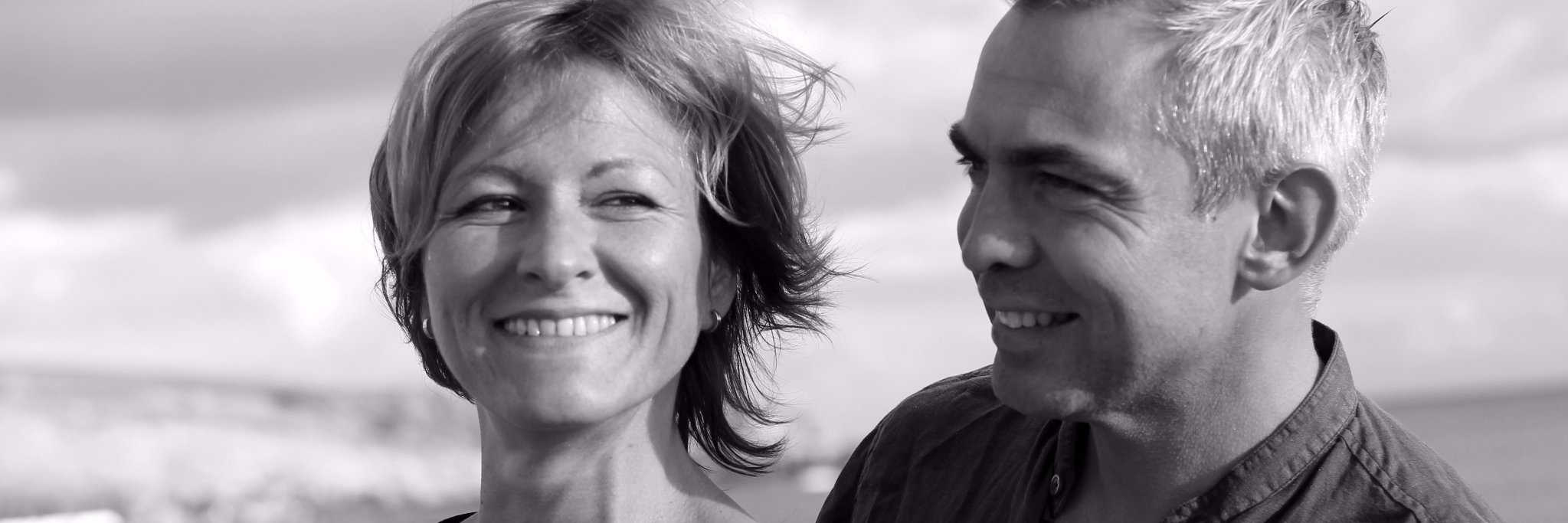 yellowdolphins.com banner