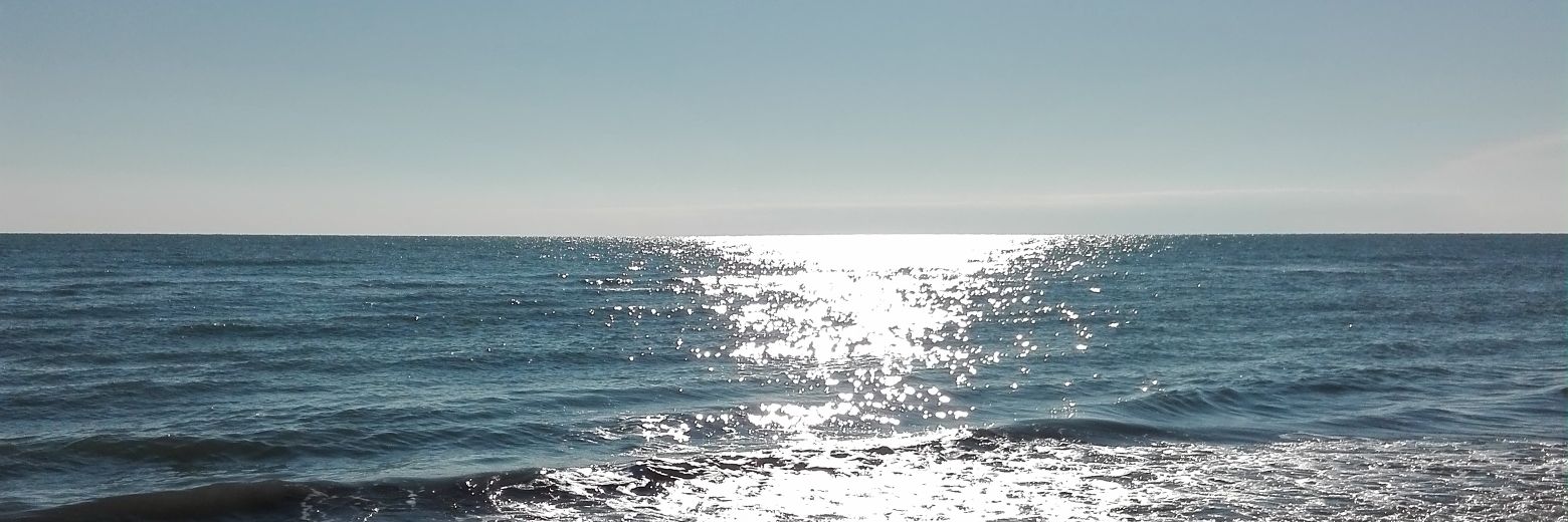 Martussie's profile banner image
