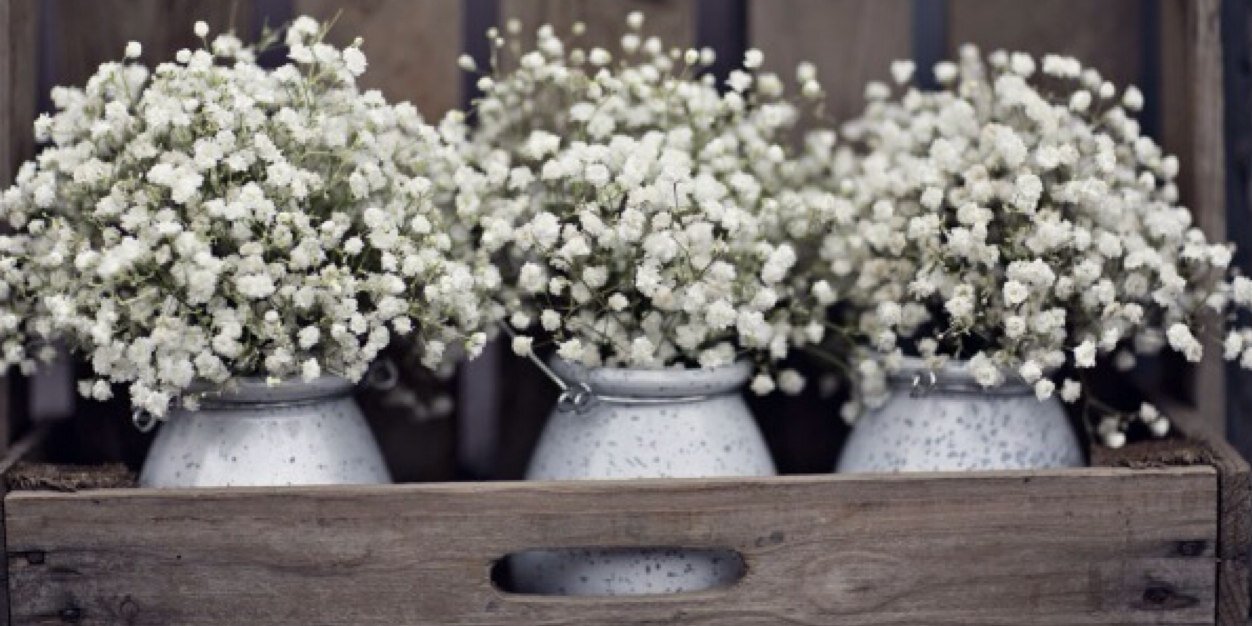 FlowerBoxDublin's profile banner image