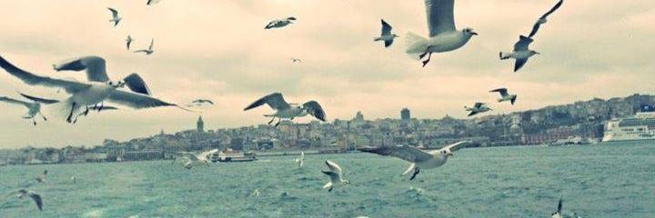 ecril's profile banner image
