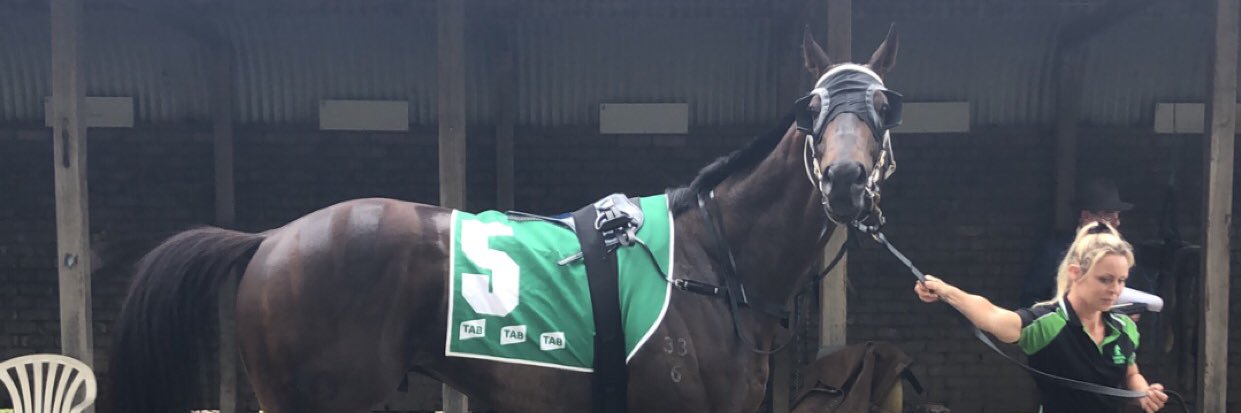 Scott Peachman banner