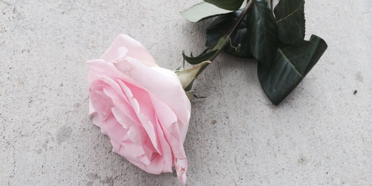 _thebrokendiary's profile banner image