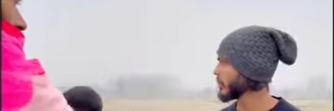TheTurtleMister's profile banner image