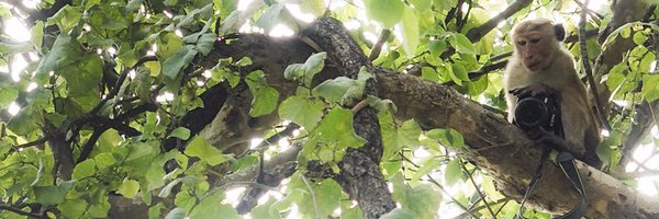 theosanderson Profile Banner