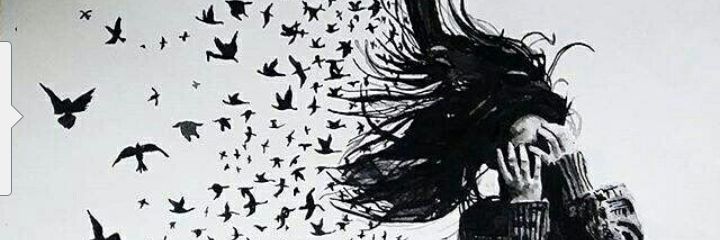 mubs_shaikh's profile banner image