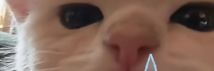 สายป่านอยู่ไหน ❄️ banner