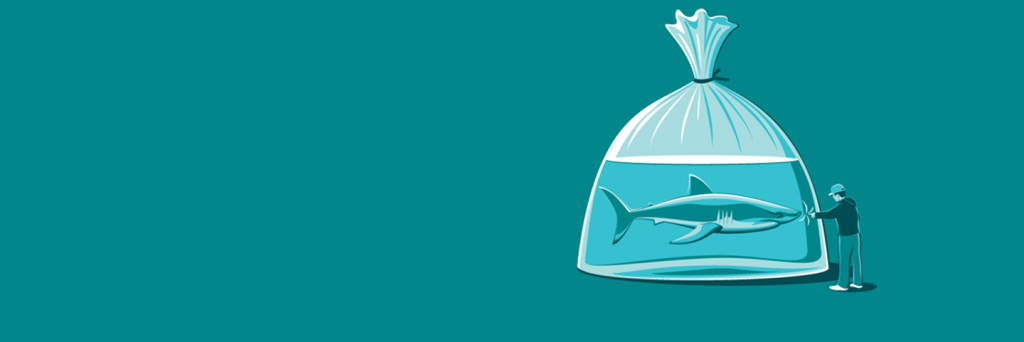 jiapetz's profile banner image