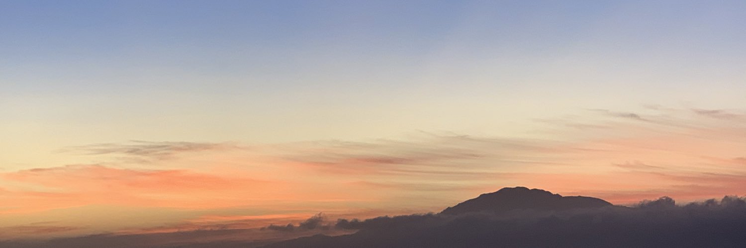Skylar Wallace banner