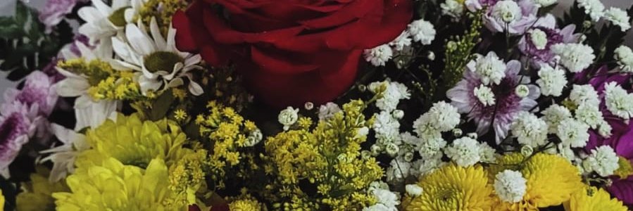 gsatelis's profile banner image