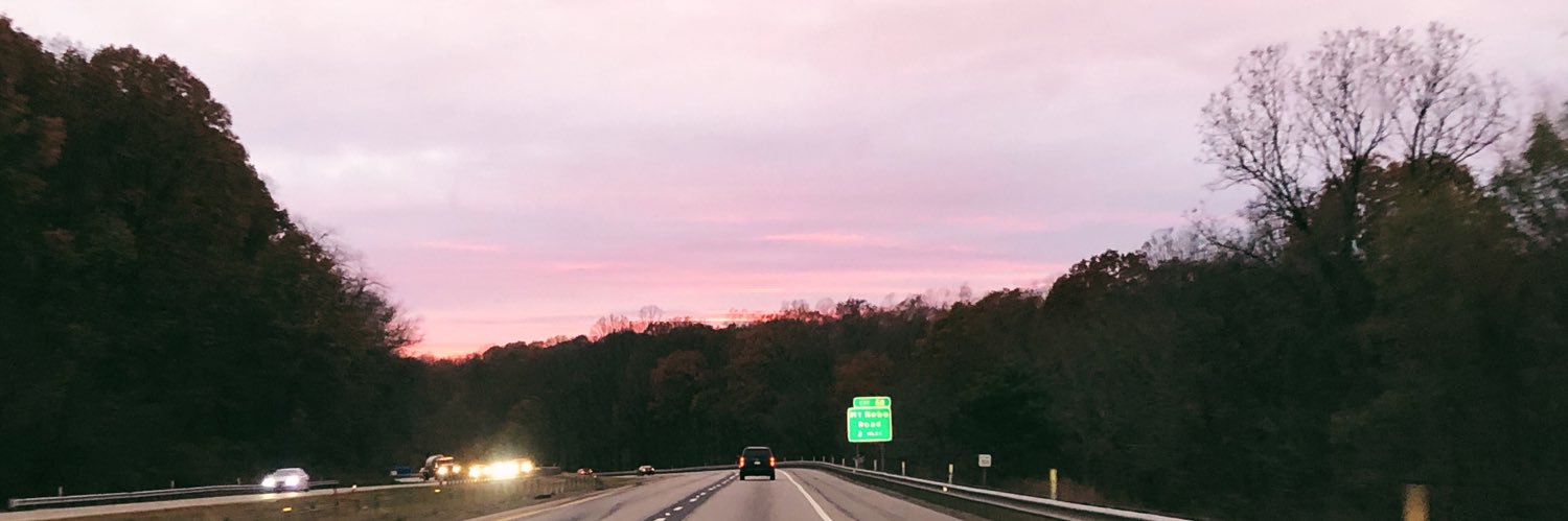 LizKeevs's profile banner image