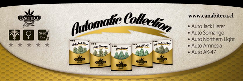 canabiteca's profile banner image