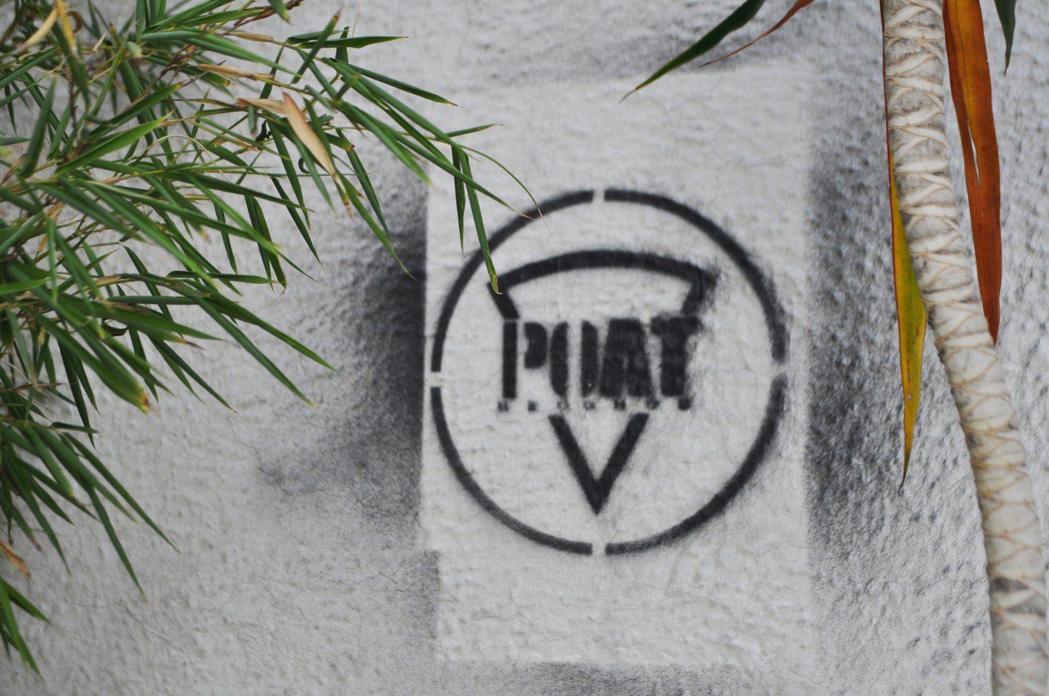POATRecords's profile banner image