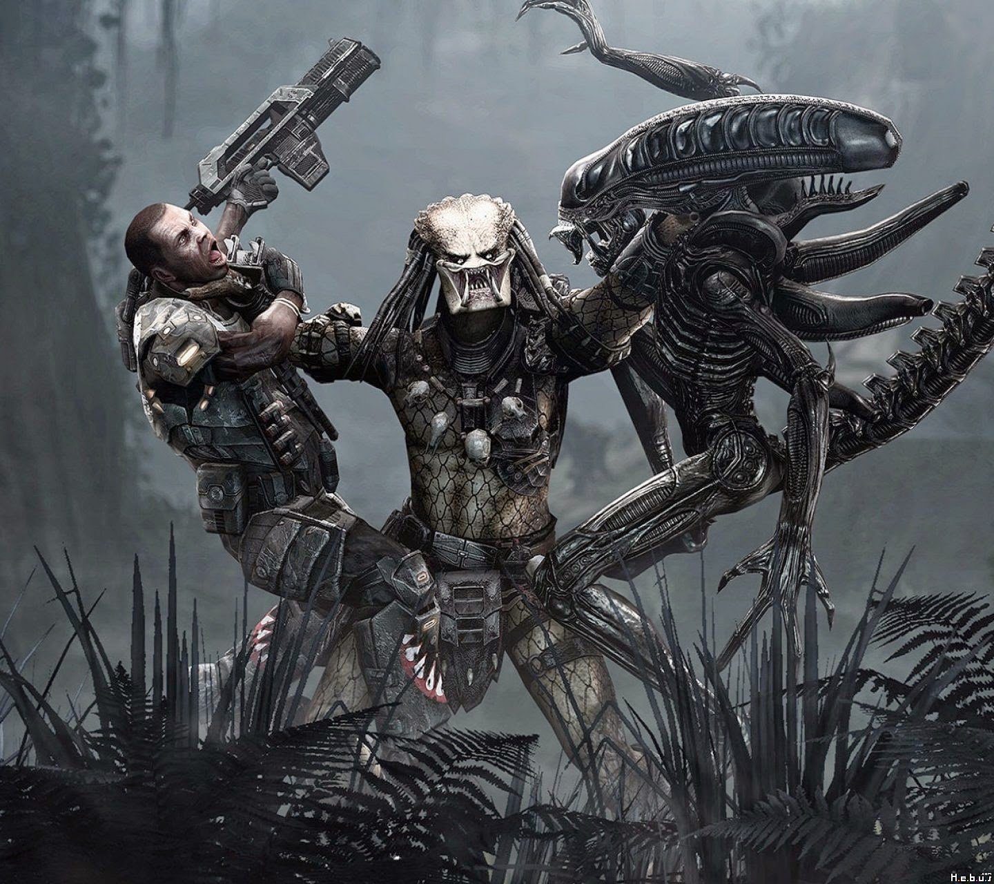 CaldwellRodge's profile banner image