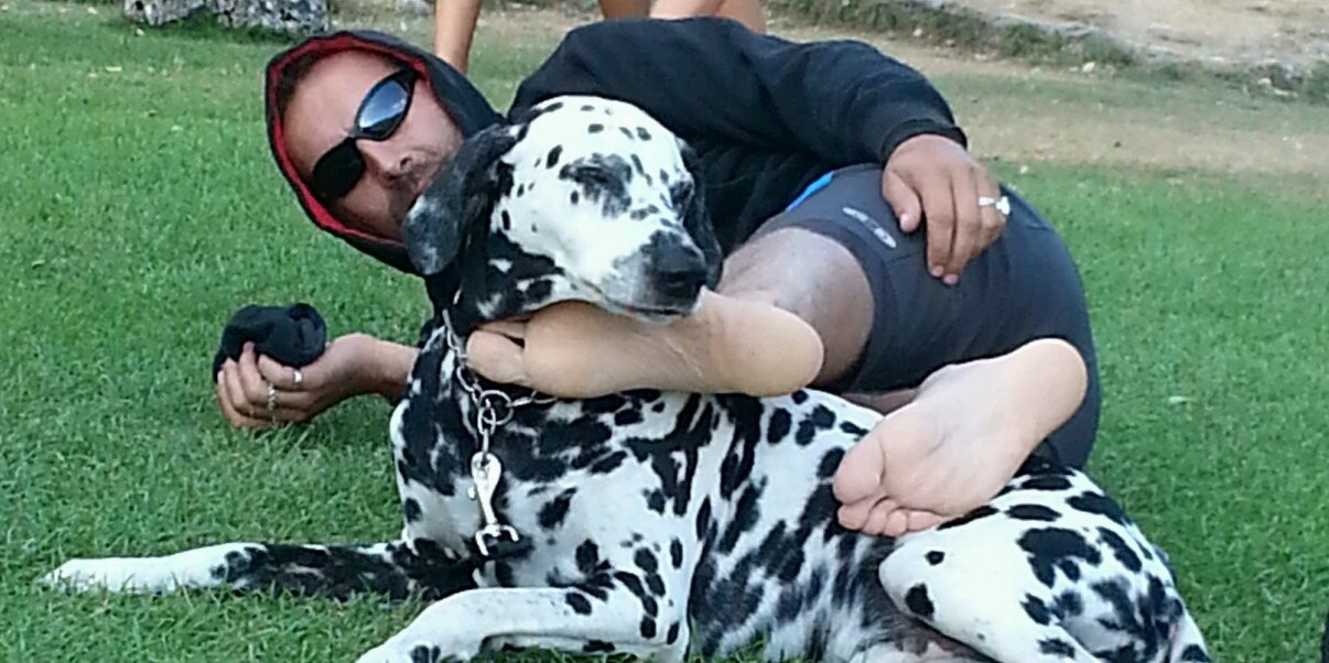 DavolioMarco's profile banner image