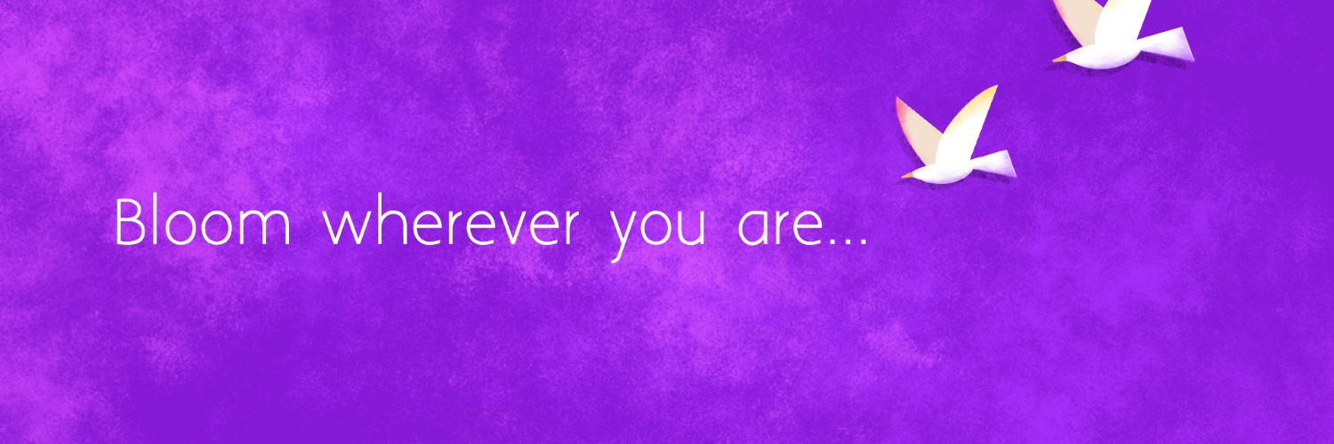 Masooma_Urva's profile banner image