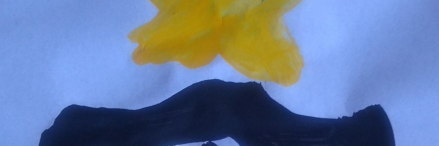 RobertoBHZ's profile banner image