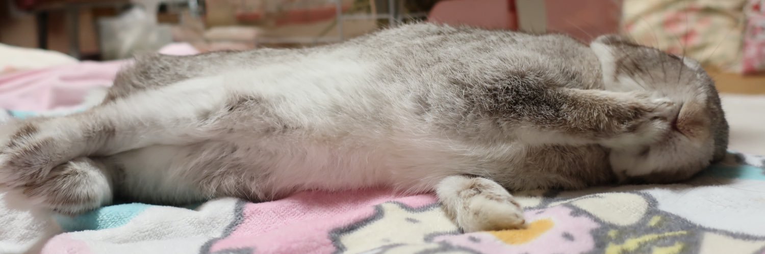 meriarabbit's profile banner image