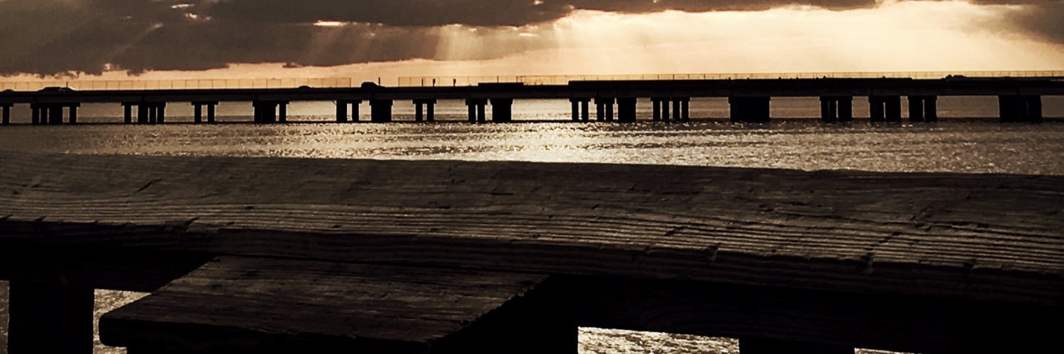 livie021's profile banner image