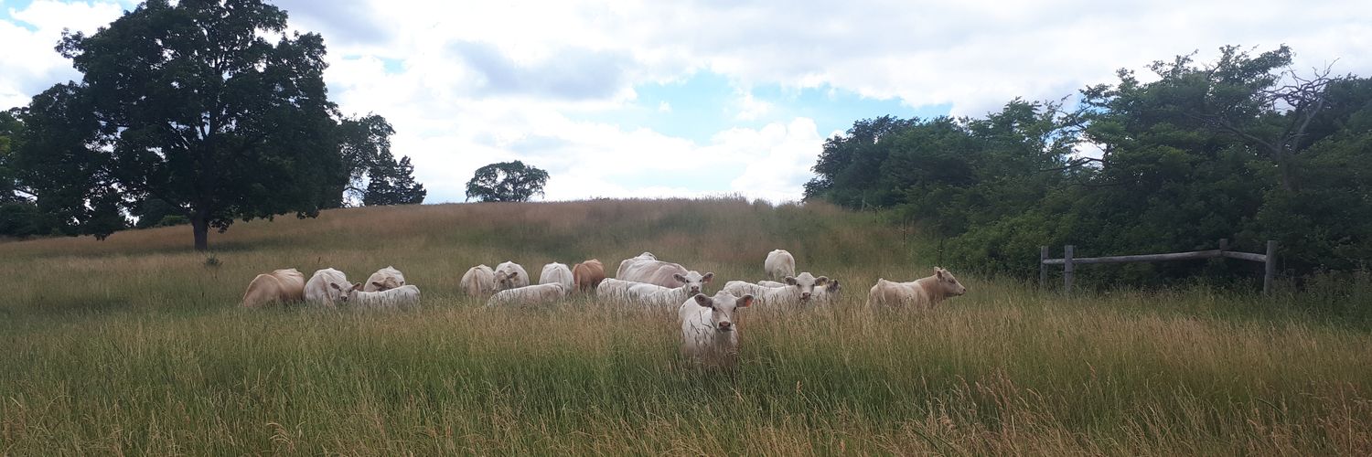 Elliott Armstrong banner