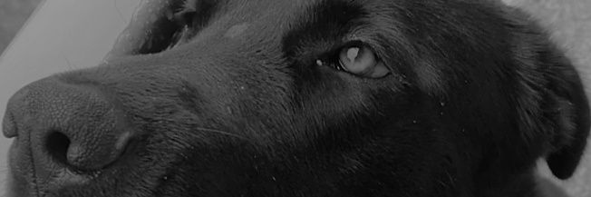 xcatzcsx's profile banner image