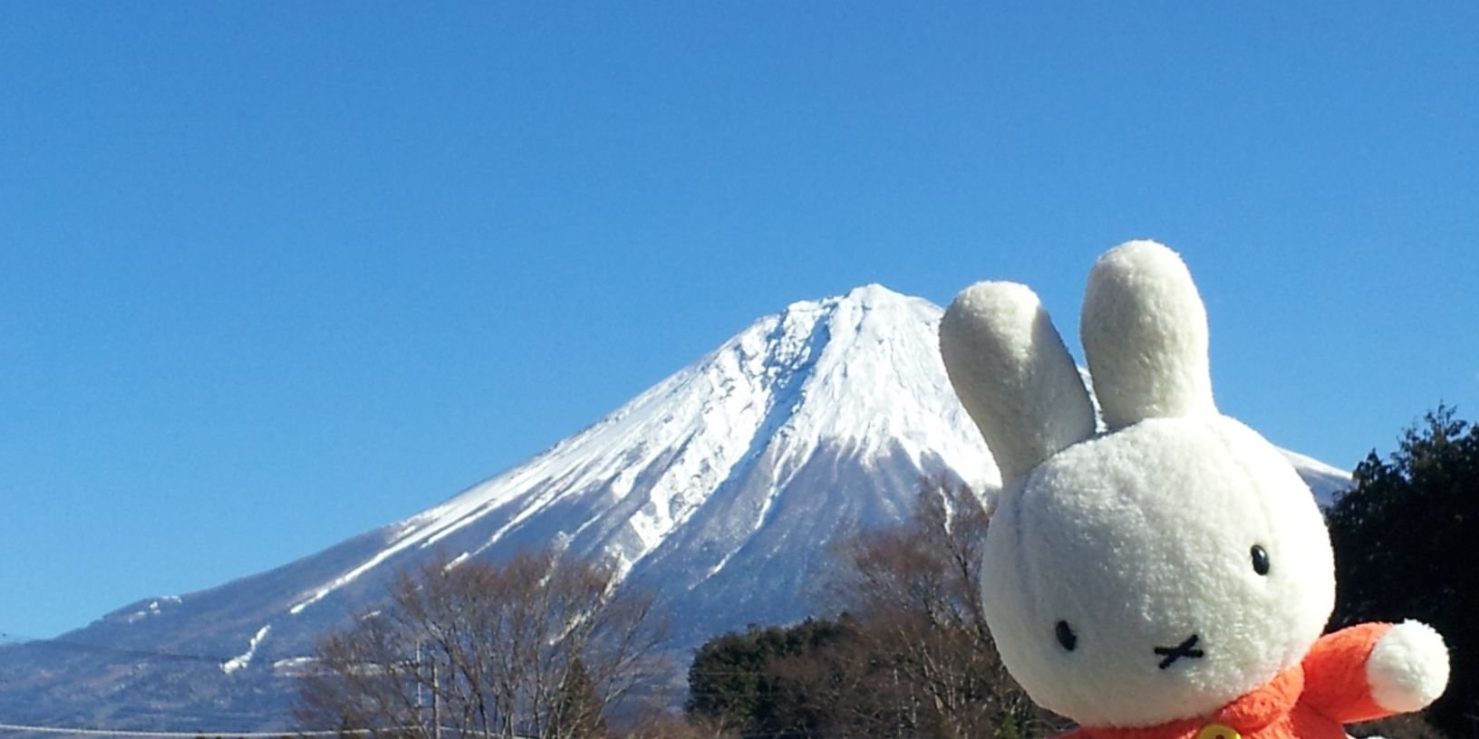 mifuyuz's profile banner image