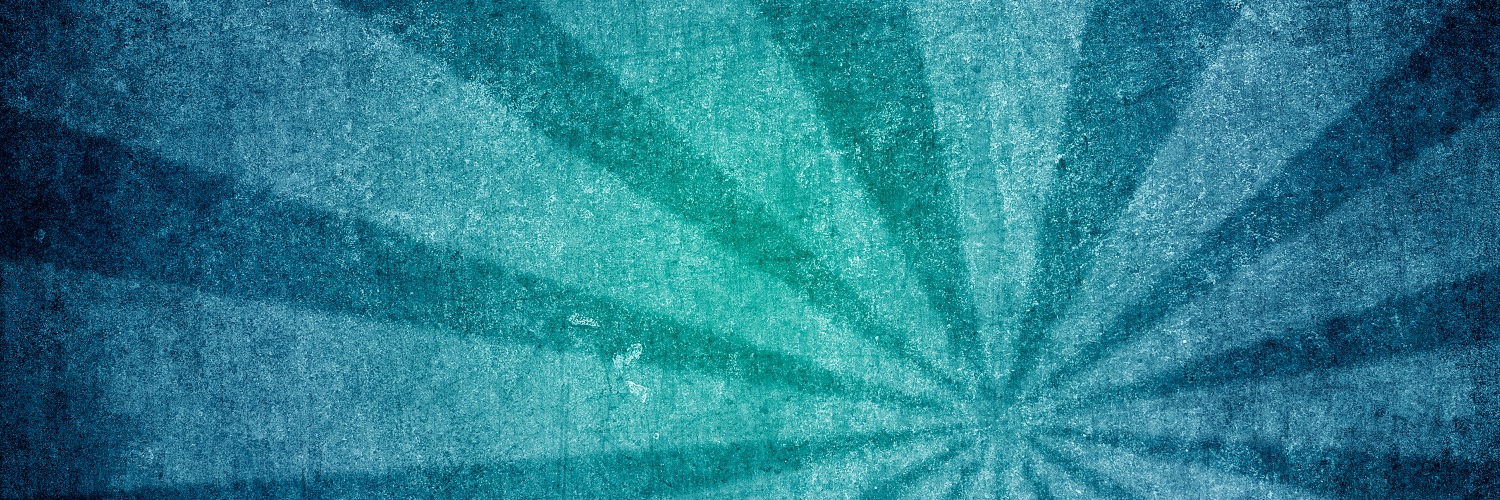 Dr Jessica Otte, CCFP, FCFP🇨🇦 - palliative/FP banner