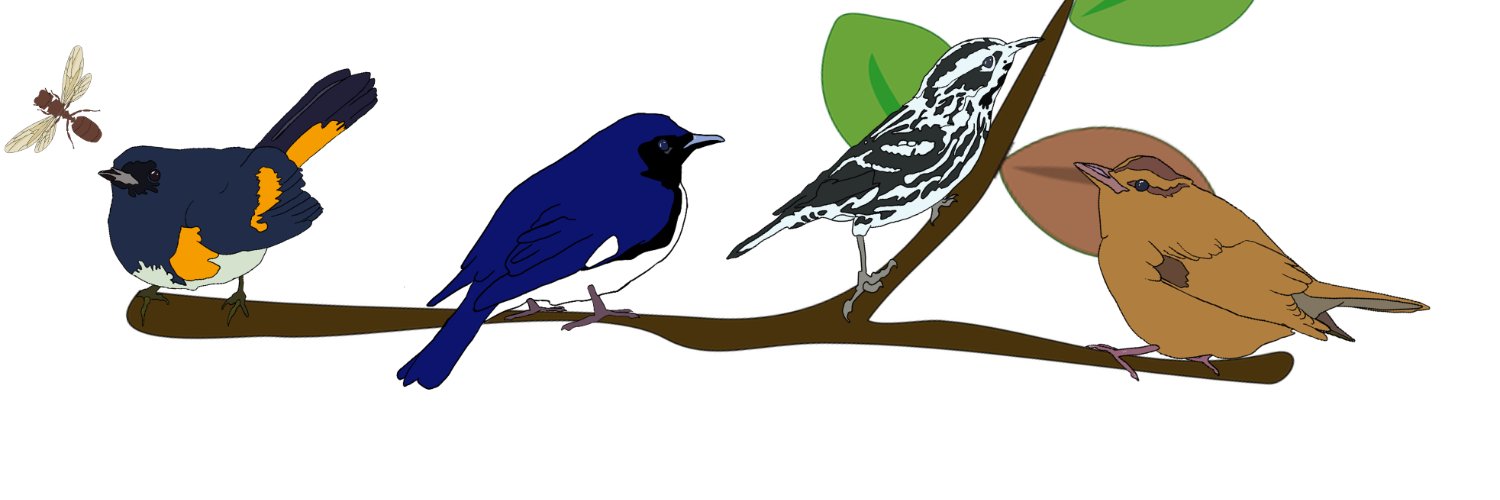 Cody M. Kent 🐦🐜 banner