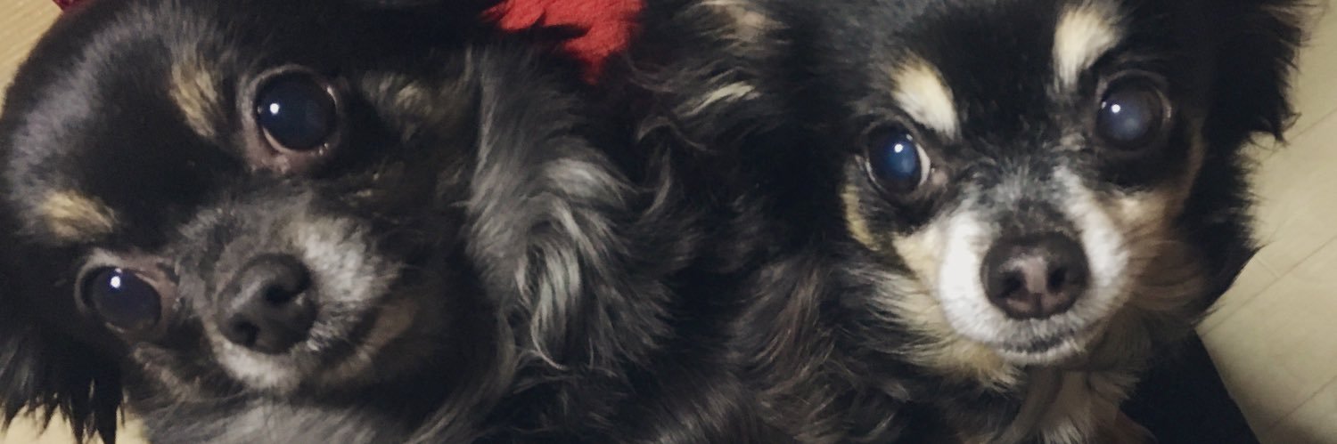 25307k's profile banner image