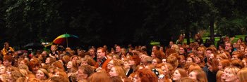 m banner