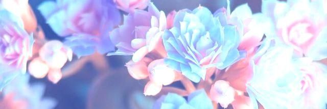 Fluffyumin's profile banner image