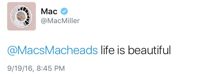 The Swimming Macheads banner