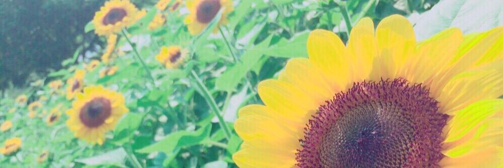 mi3774na's profile banner image