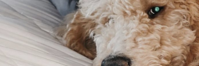 applesauce_16's profile banner image