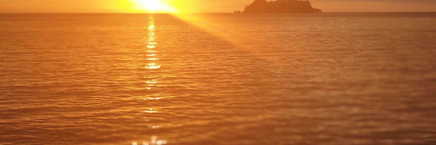 JacquiPascoe's profile banner image