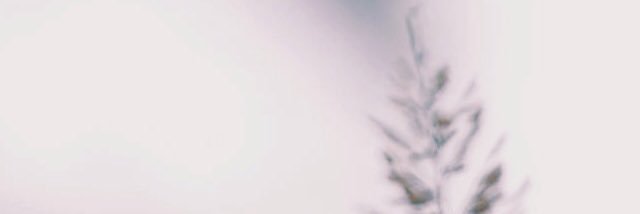 🧝🏽‍♀️ banner
